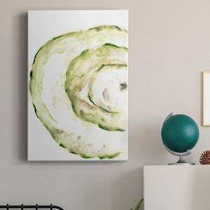 Lichen Halo V - Canvas Art Print
