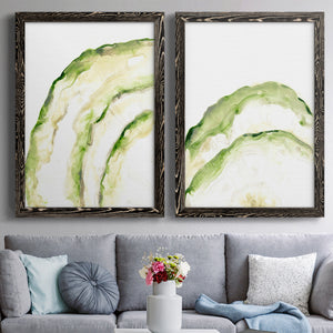 Lichen Halo I - Barnwood Framed Canvas Set
