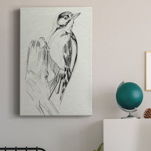Woodpecker Sketch II Premium Gallery Wrapped Canvas - Ready to Hang