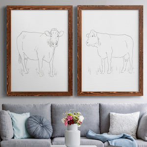 Limousin Cattle III - Premium Framed Canvas 2 Piece Set - Ready to Hang
