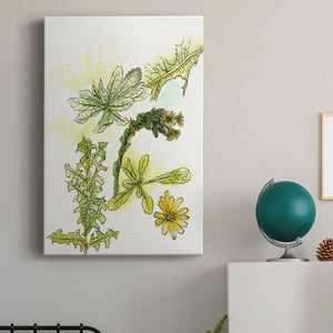 Floral Field Notes V Premium Gallery Wrapped Canvas - Ready to Hang