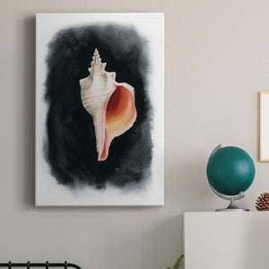 Conch on Black II - Canvas Art Print