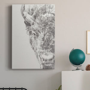 Graphite Bison Portrait I - Canvas Art Print