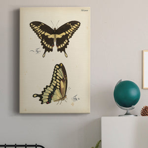Butterfly Profile I - Canvas Art Print
