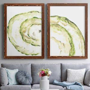 Lichen Halo V - Barnwood Framed Canvas Set