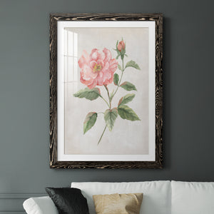 Grandiflora II - Barnwood Framed Art Print