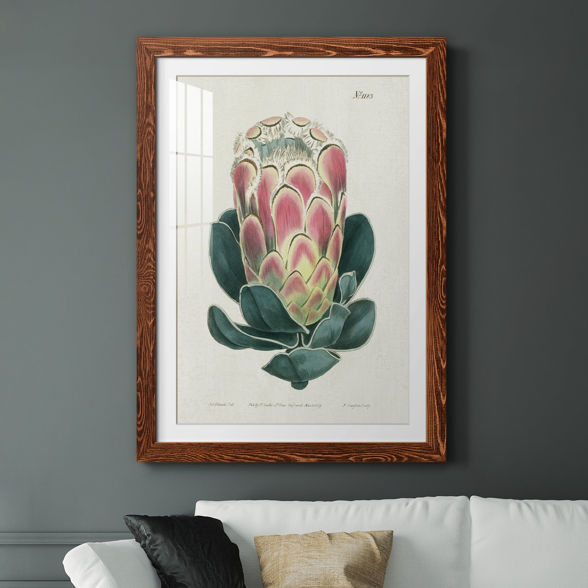 Protea N83 - Barnwood Framed Art Print