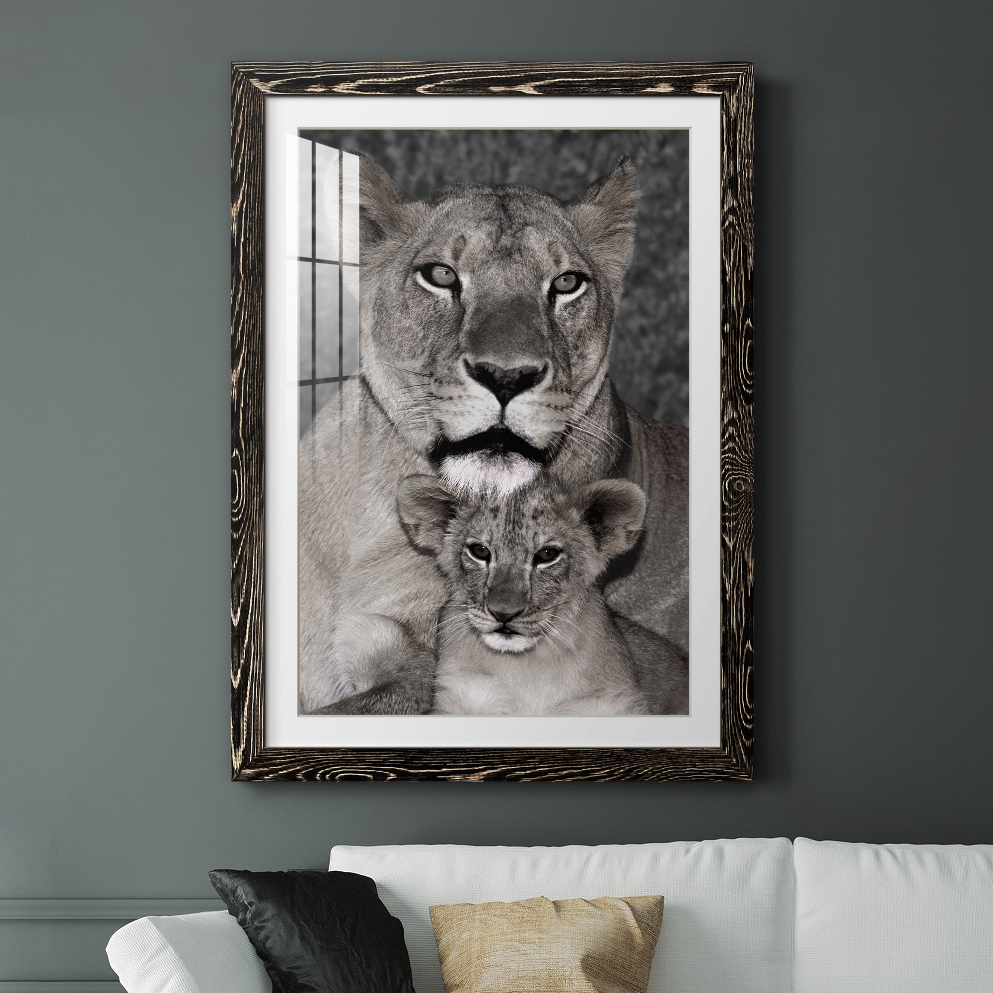 Lioness and Cub - Barnwood Framed Art Print
