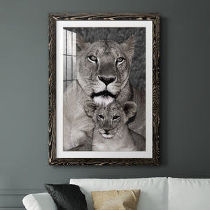 Lioness and Cub - Barnwood Framed Art Print