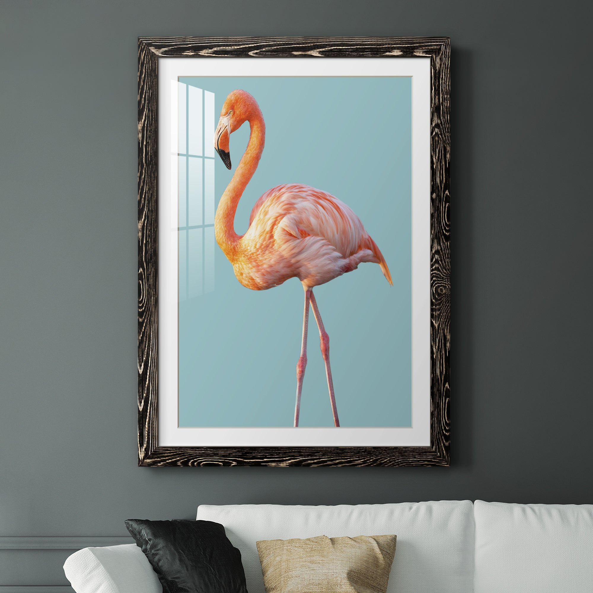 Flamingo - Barnwood