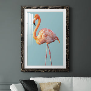 Flamingo - Barnwood