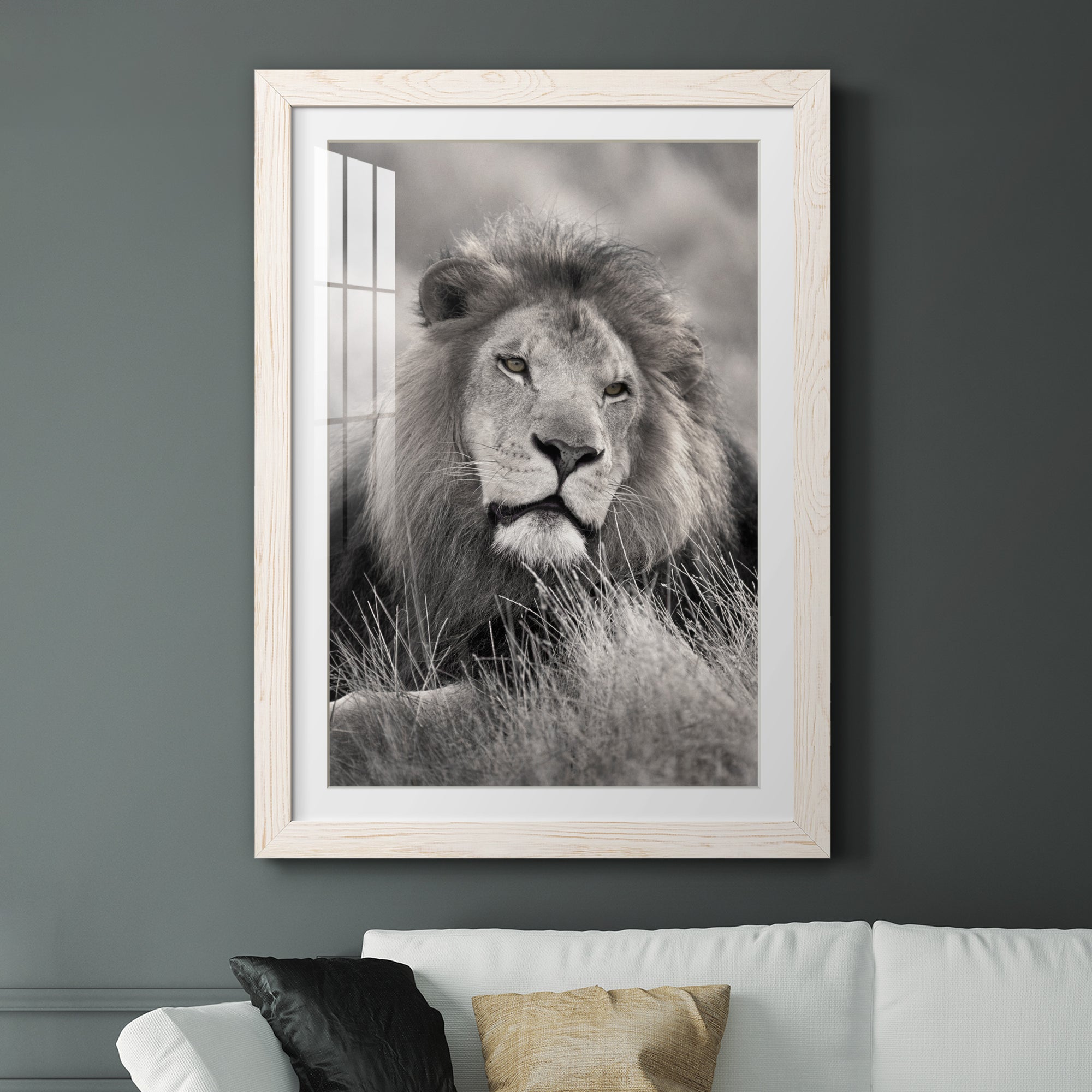 Pride of the Pride - Barnwood Framed Art Print