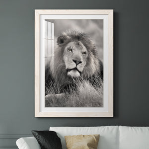 Pride of the Pride - Barnwood Framed Art Print