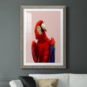 Honduras Wildlife - Barnwood