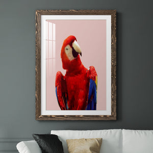 Honduras Wildlife - Barnwood