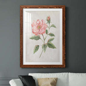 Grandiflora II - Barnwood Framed Art Print