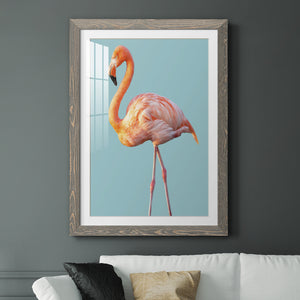 Flamingo - Barnwood