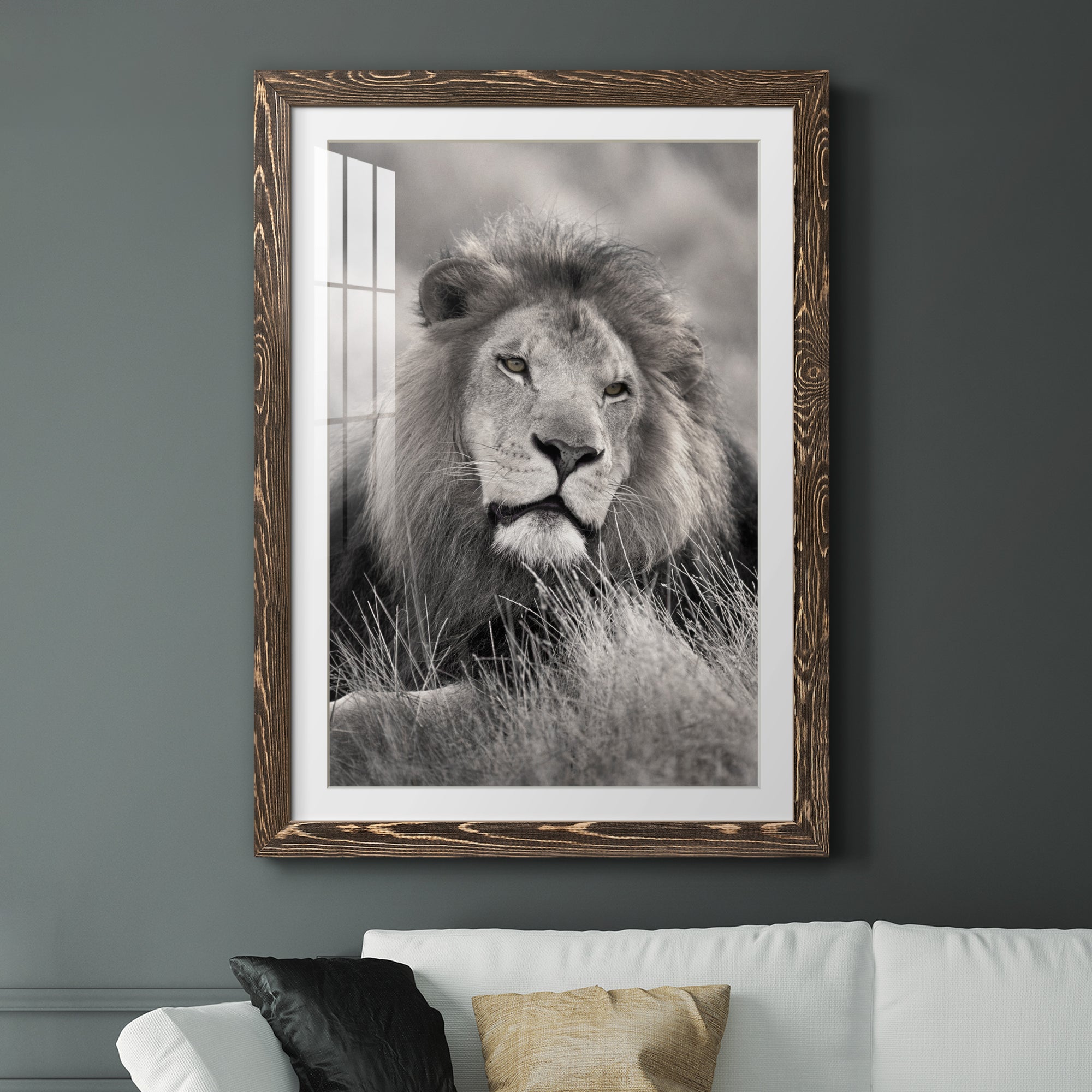 Pride of the Pride - Barnwood Framed Art Print