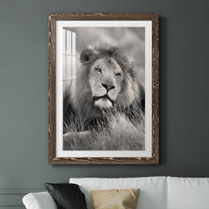 Pride of the Pride - Barnwood Framed Art Print