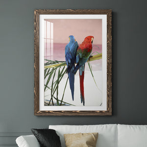 Palm Parrots - Barnwood