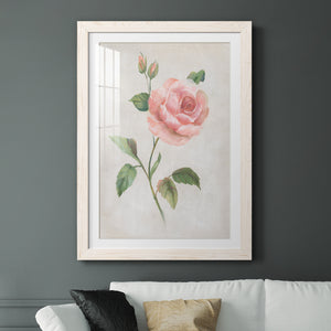 Grandiflora I - Barnwood Framed Art Print