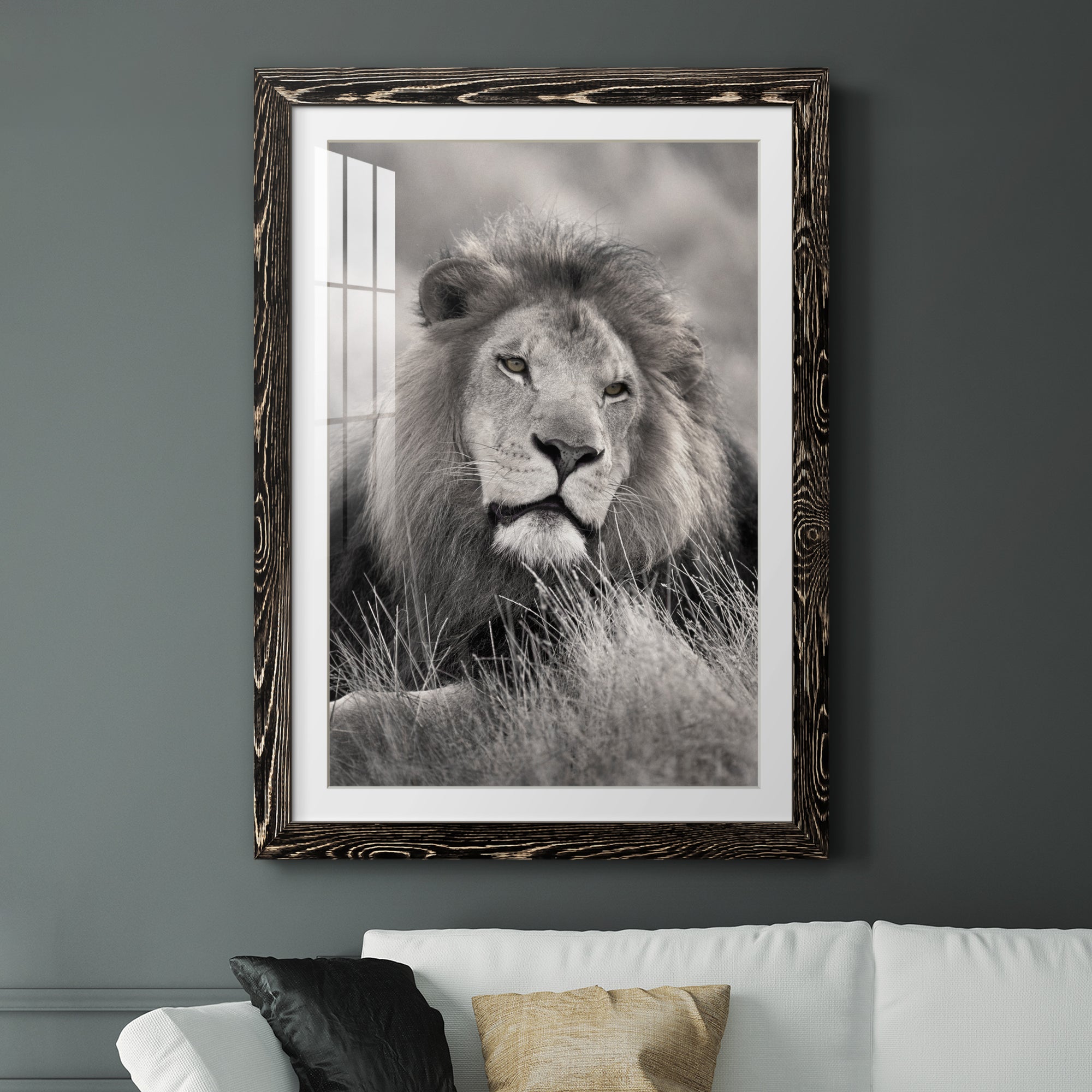 Pride of the Pride - Barnwood Framed Art Print