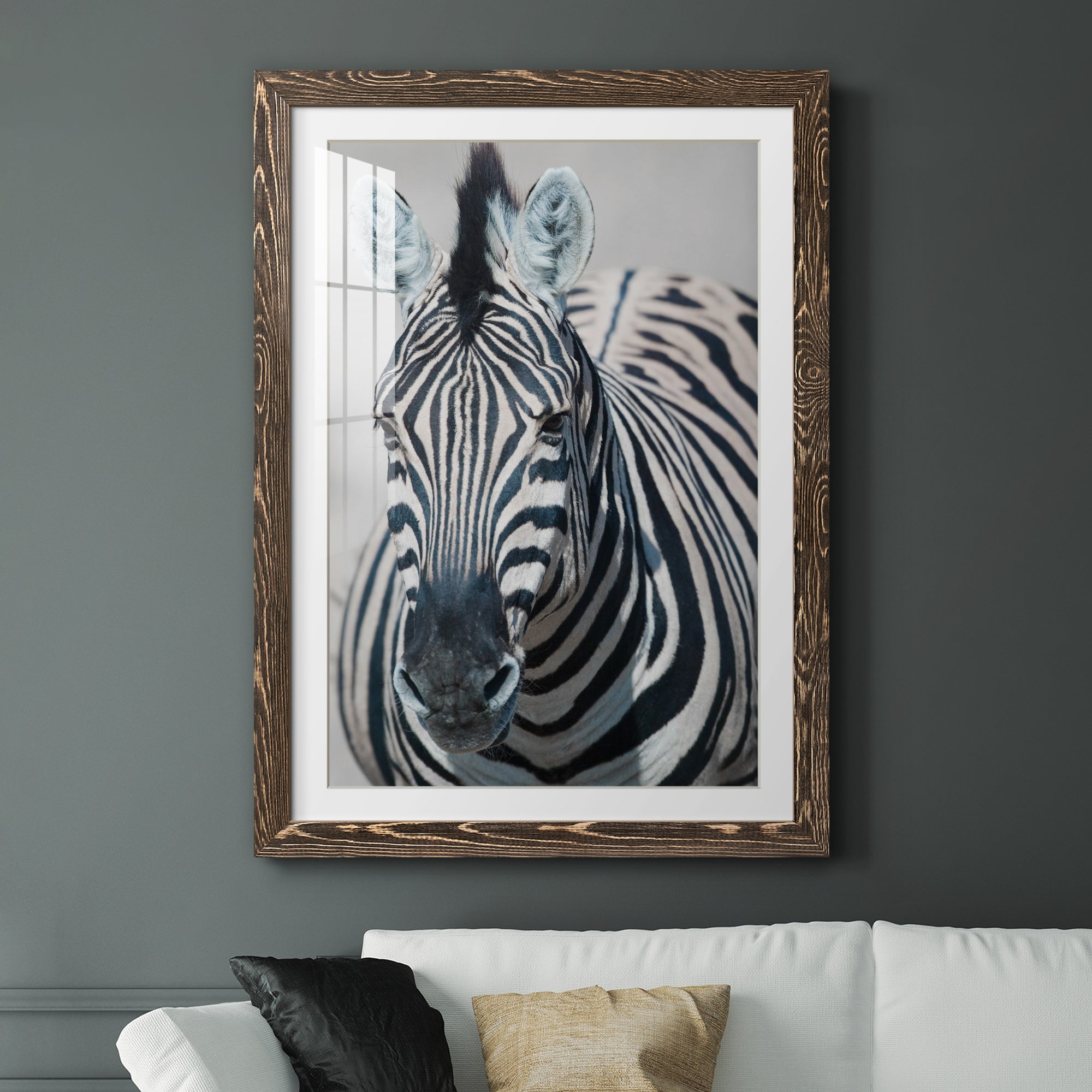 Namibia Zebra - Premium Framed Print - Distressed Barnwood Frame - Ready to Hang