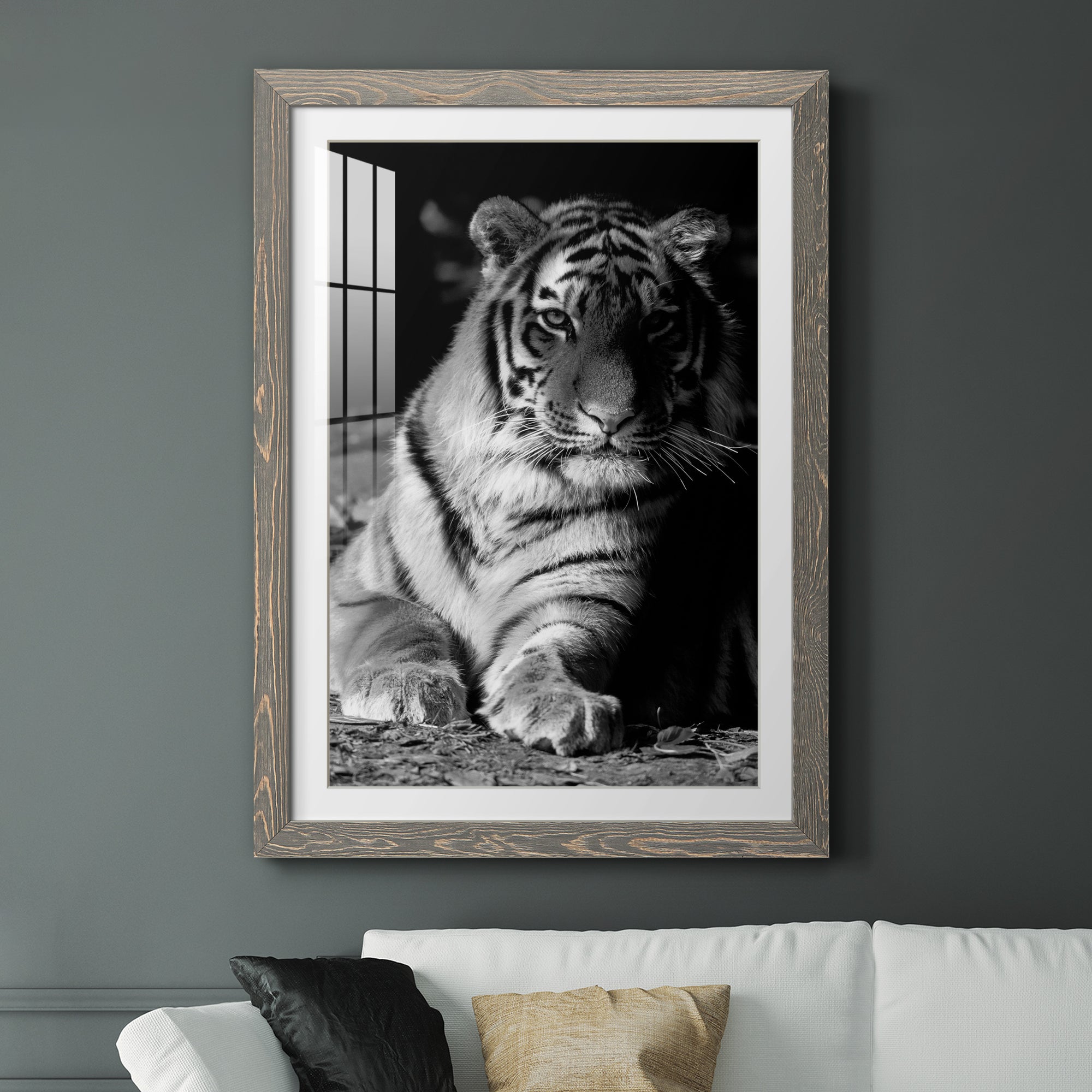 Tiger Repose - Barnwood Framed Art Print