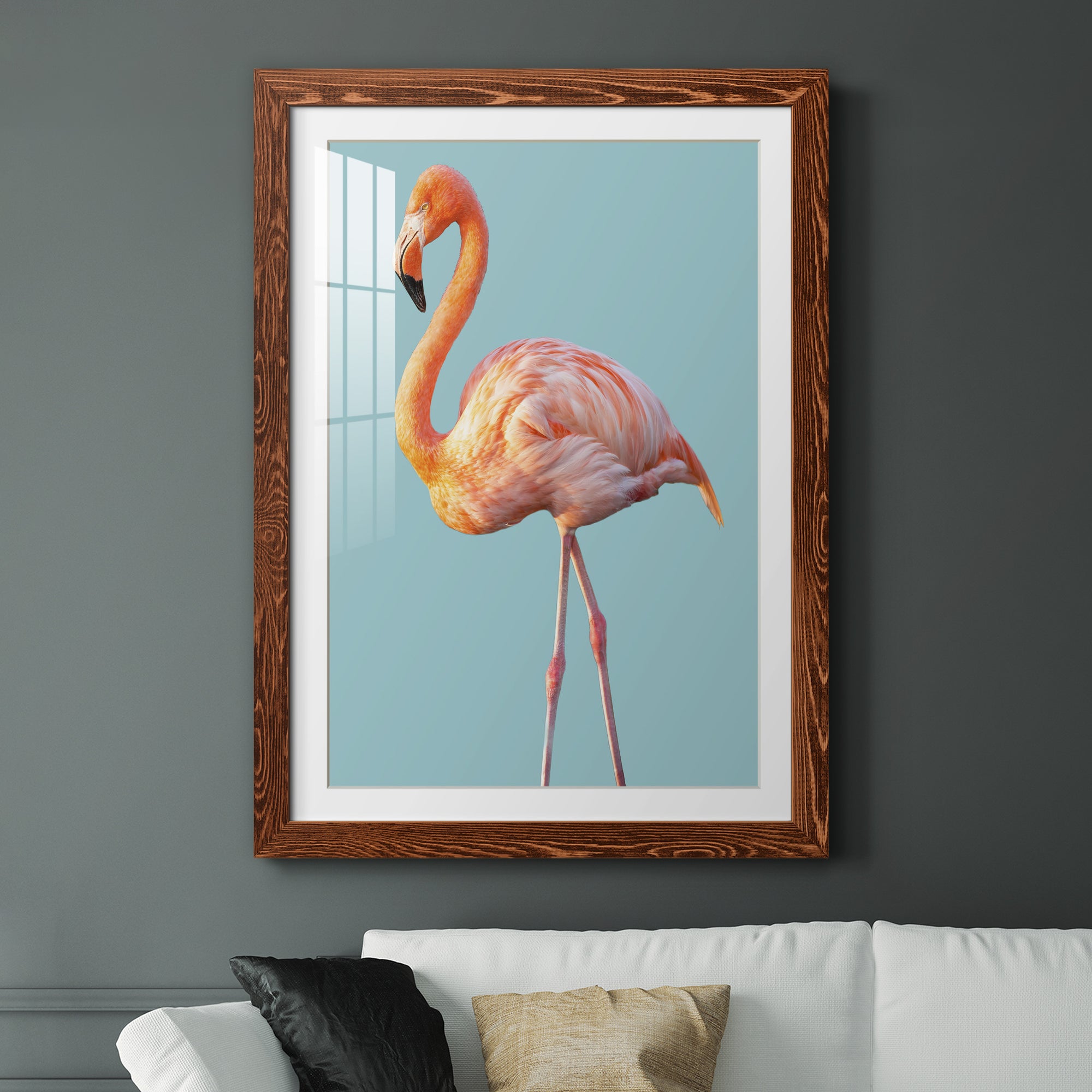 Flamingo - Barnwood