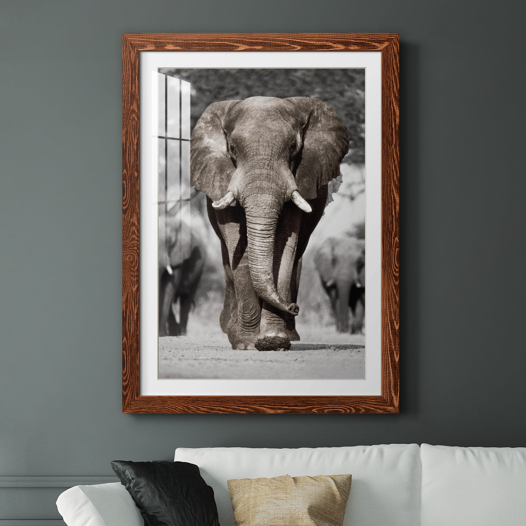 Botswana Patriarch - Barnwood Framed Art Print
