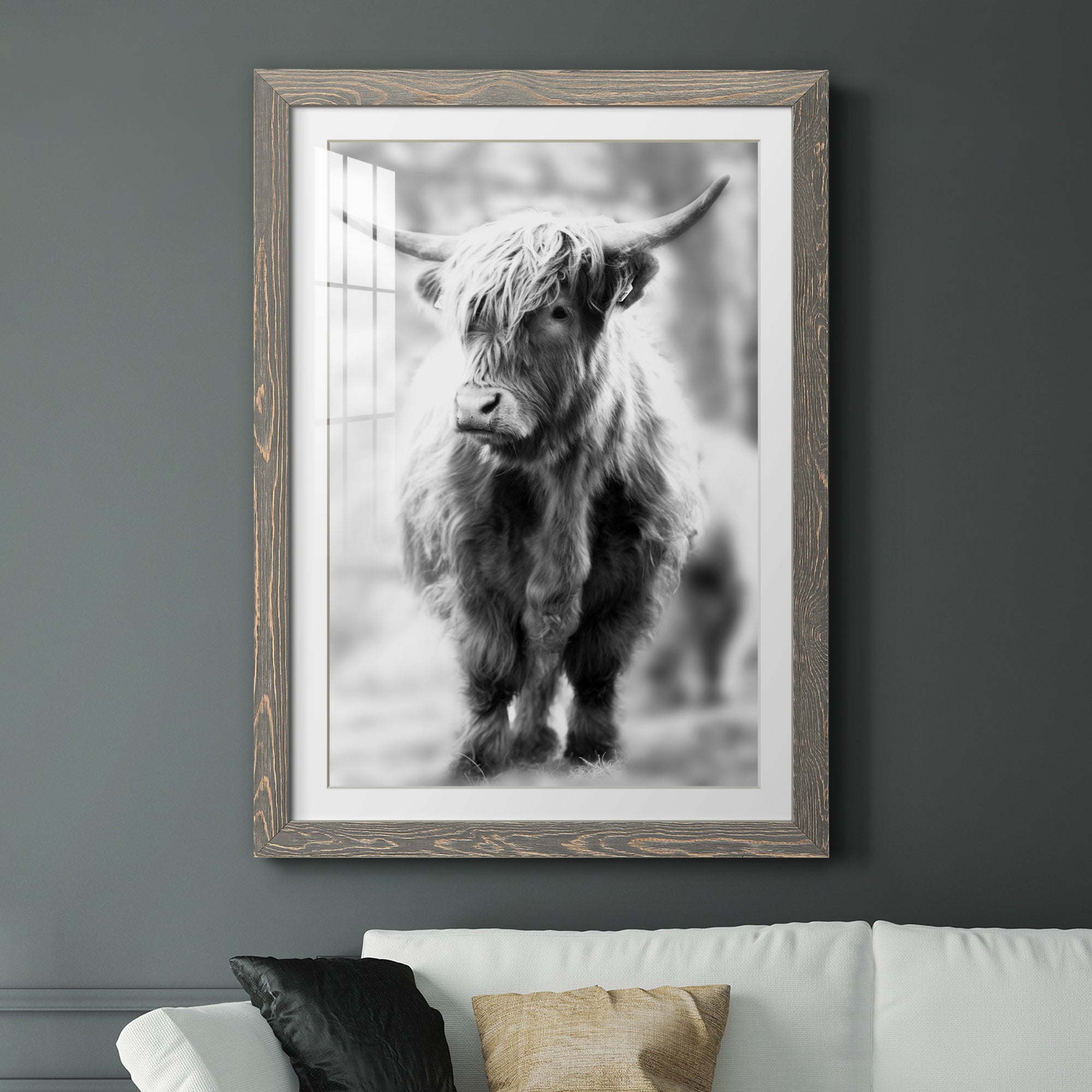 Yorkshire Highland - Premium Framed Print - Distressed Barnwood Frame - Ready to Hang