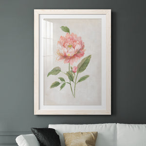 Grandiflora III - Barnwood Framed Art Print