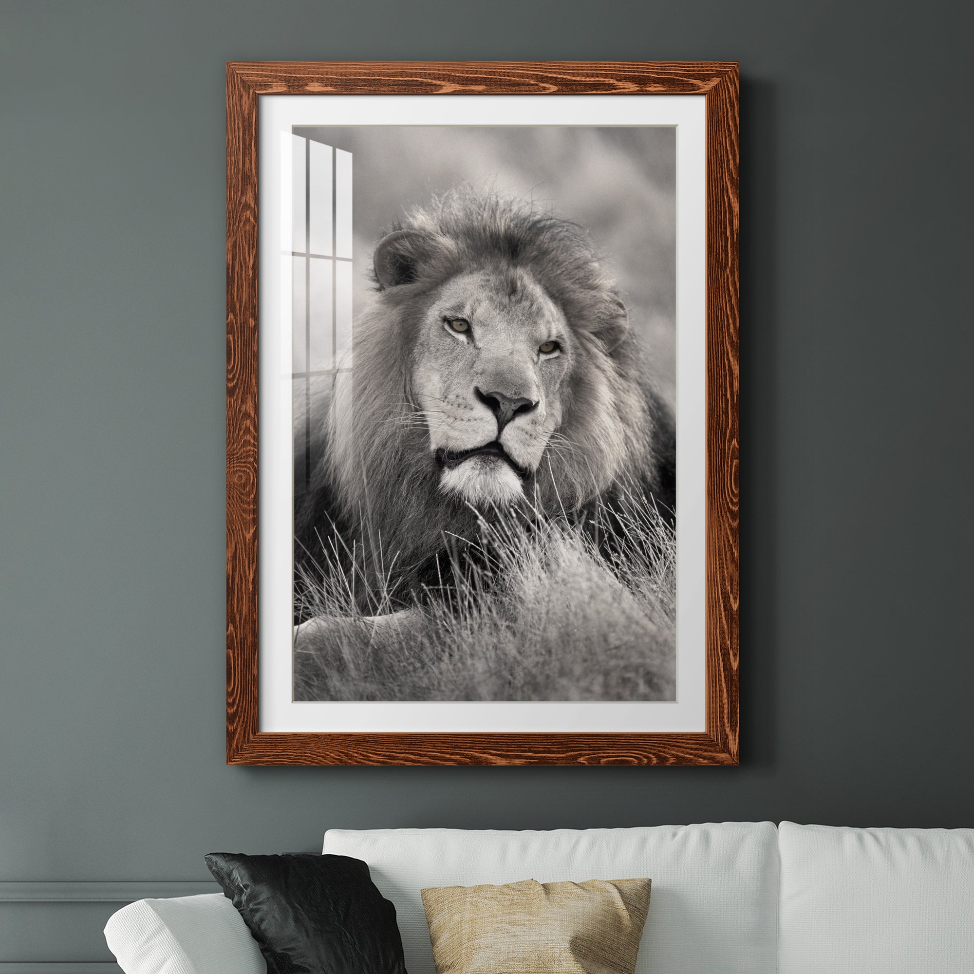 Pride of the Pride - Barnwood Framed Art Print