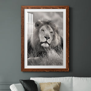 Pride of the Pride - Barnwood Framed Art Print