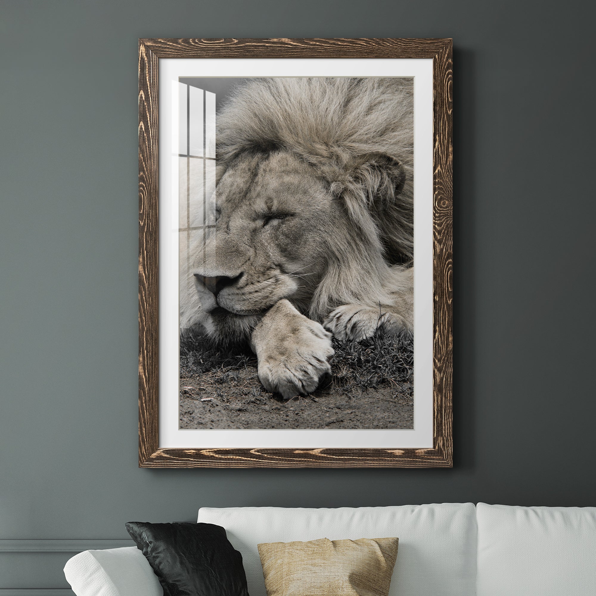 Sleepy Afternoon in Masai Mara - Barnwood Framed Art Print