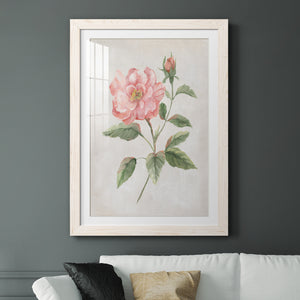 Grandiflora II - Barnwood Framed Art Print