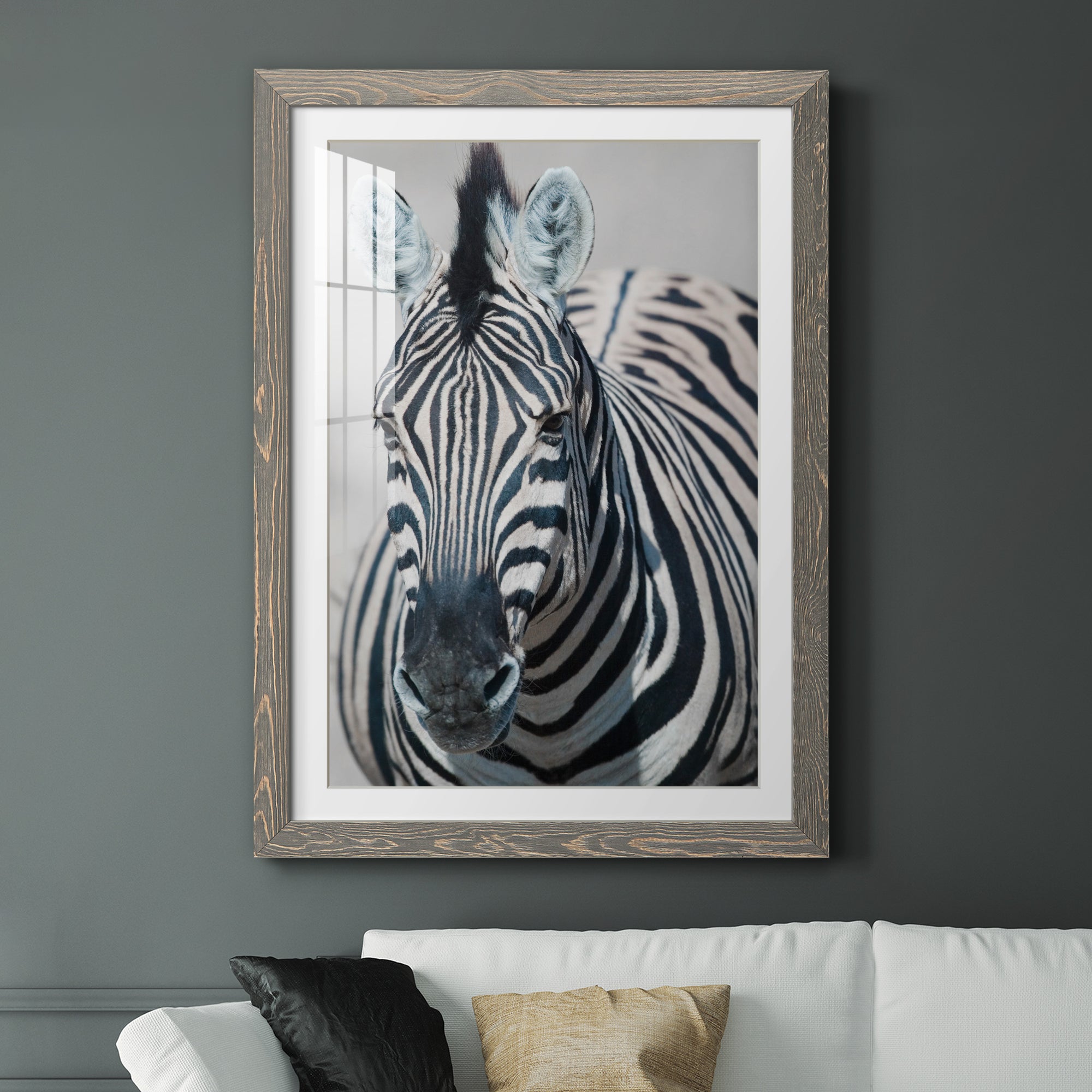 Namibia Zebra - Premium Framed Print - Distressed Barnwood Frame - Ready to Hang