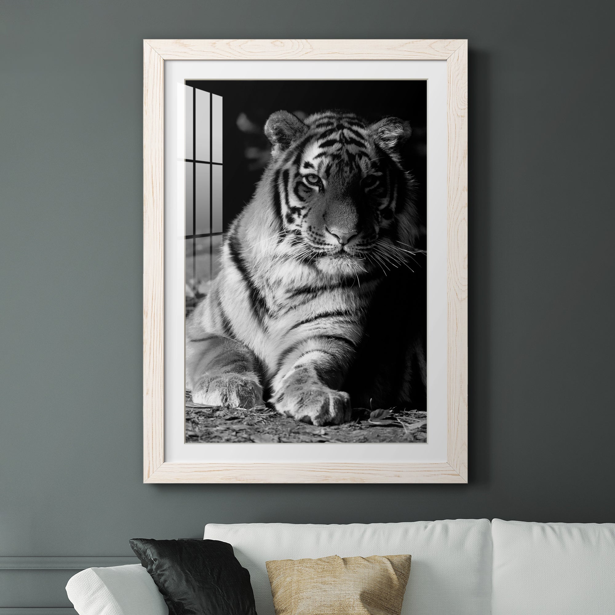Tiger Repose - Barnwood Framed Art Print
