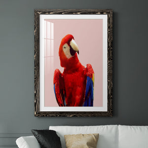 Honduras Wildlife - Barnwood