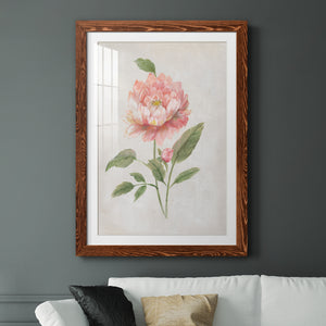 Grandiflora III - Barnwood Framed Art Print