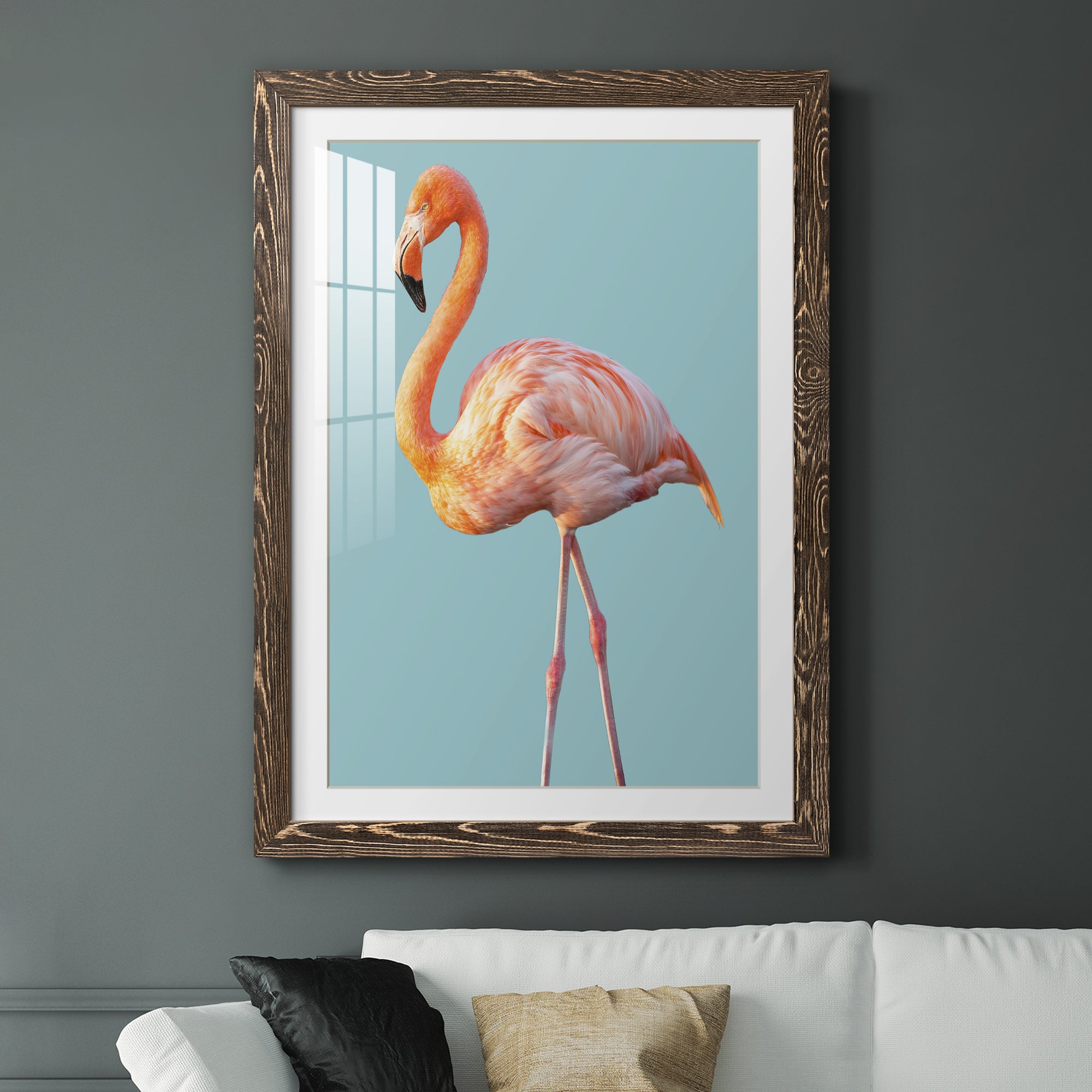 Flamingo - Barnwood