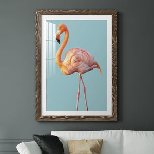 Flamingo - Barnwood