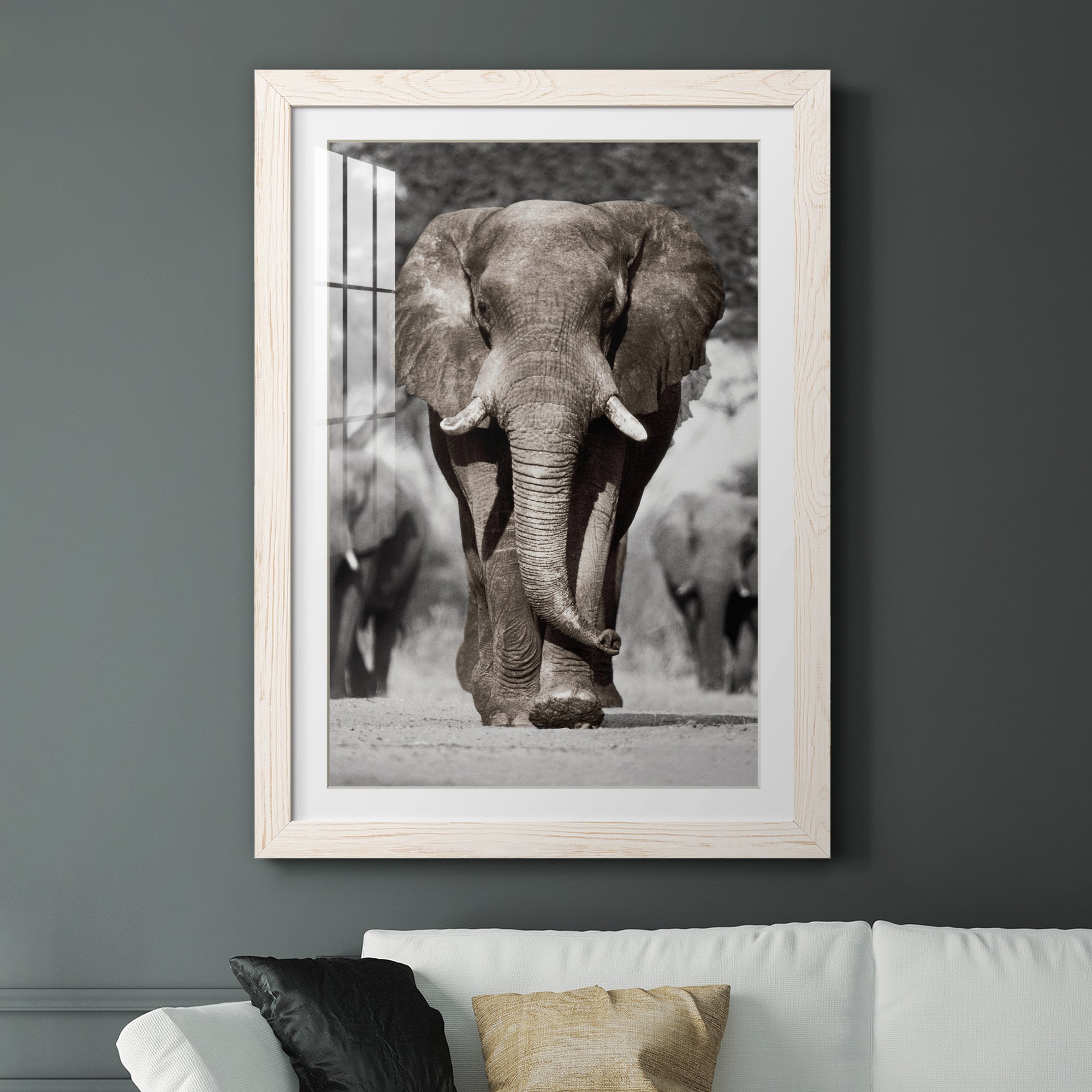 Botswana Patriarch - Barnwood Framed Art Print