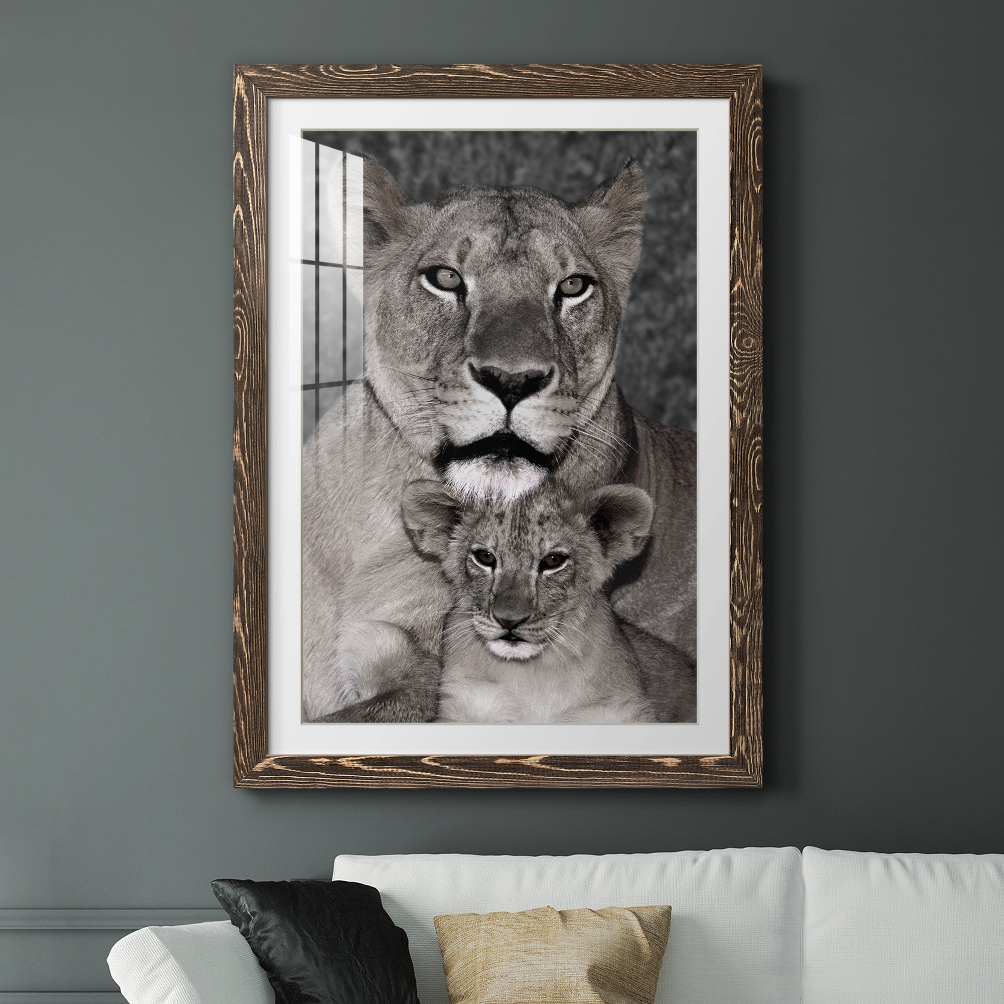 Lioness and Cub - Barnwood Framed Art Print