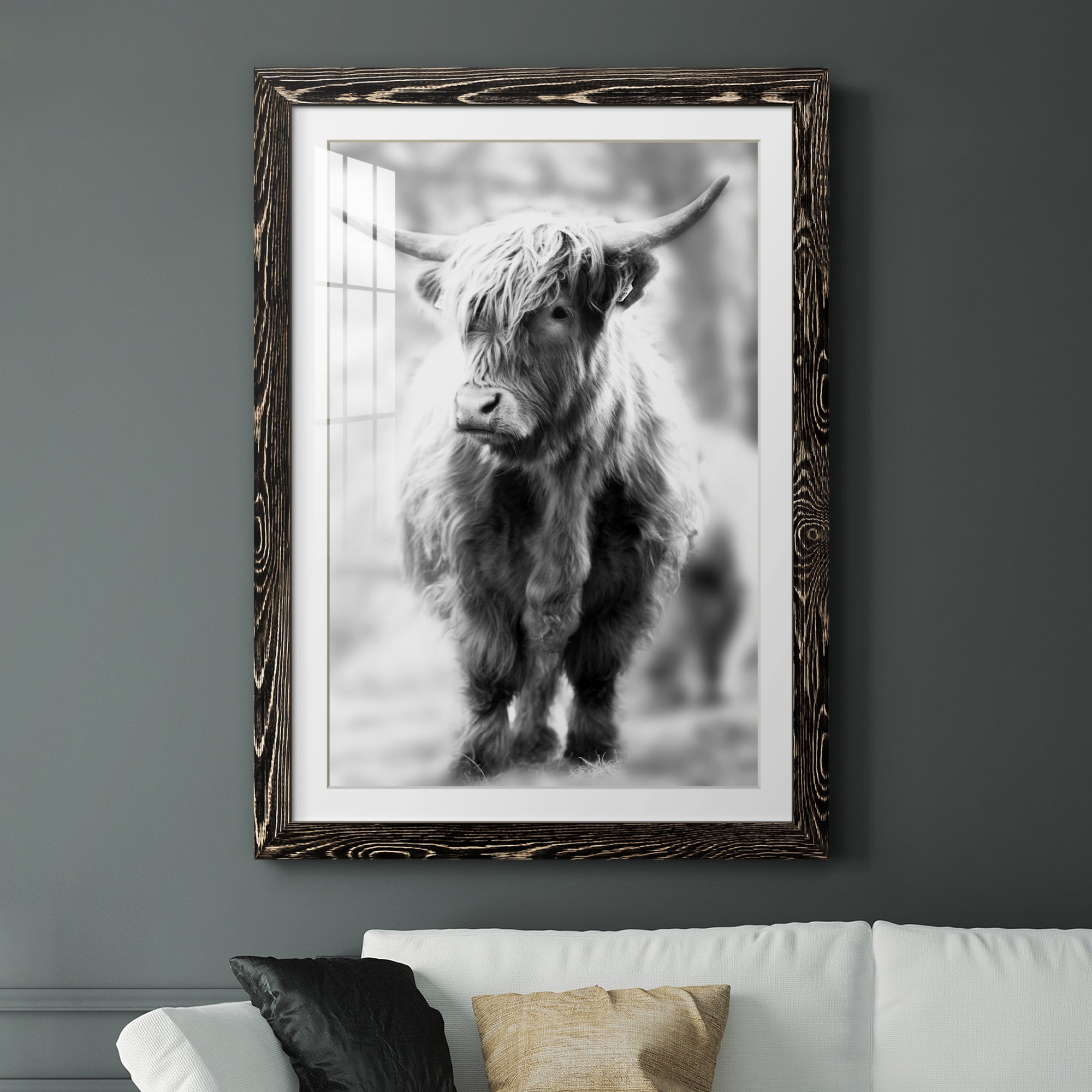 Yorkshire Highland - Premium Framed Print - Distressed Barnwood Frame - Ready to Hang