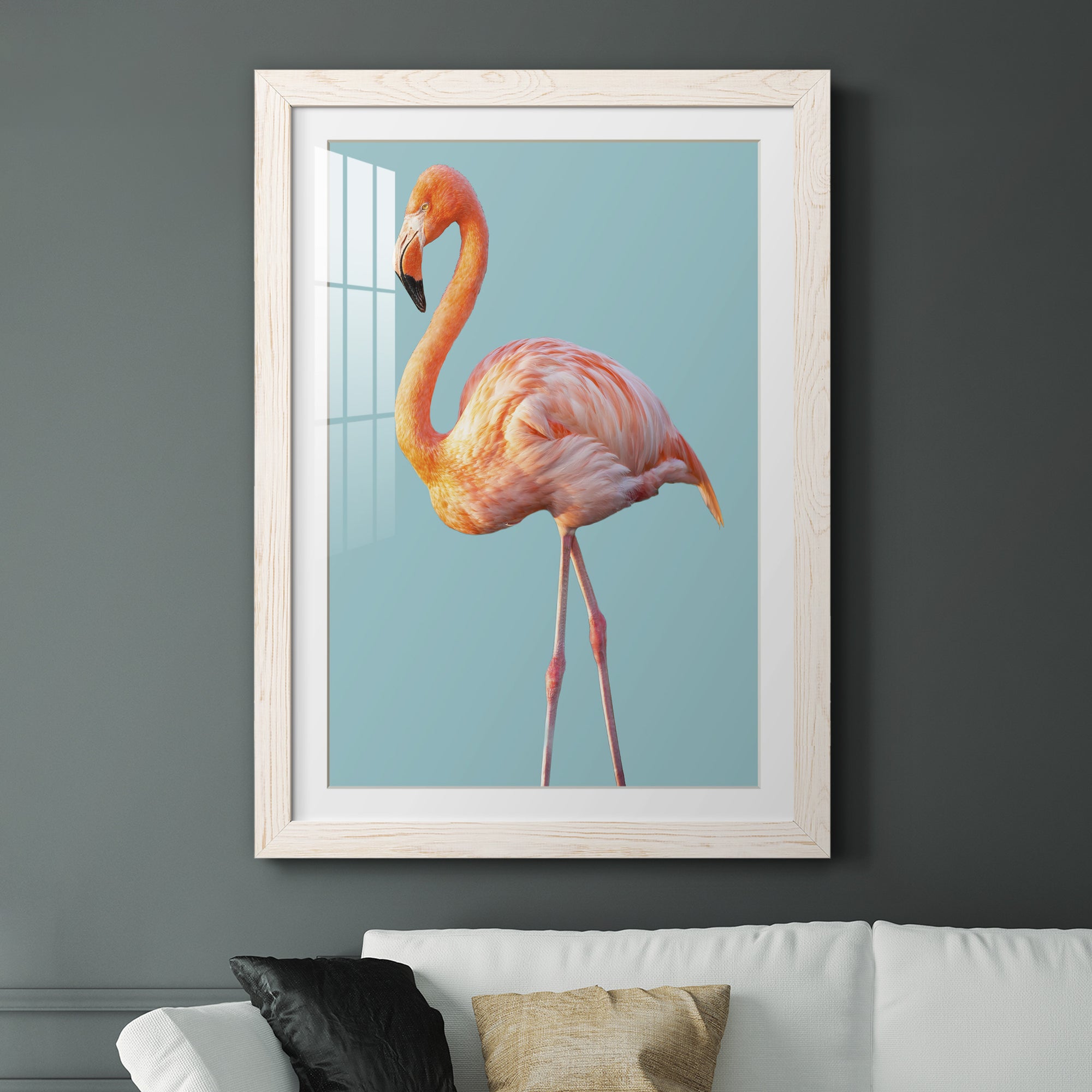Flamingo - Barnwood