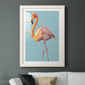 Flamingo - Barnwood