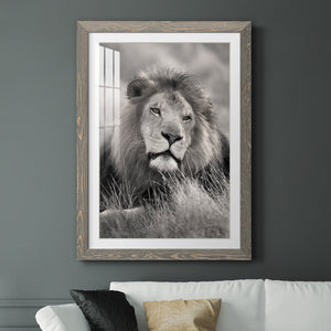 Pride of the Pride - Barnwood Framed Art Print