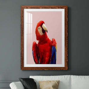 Honduras Wildlife - Barnwood