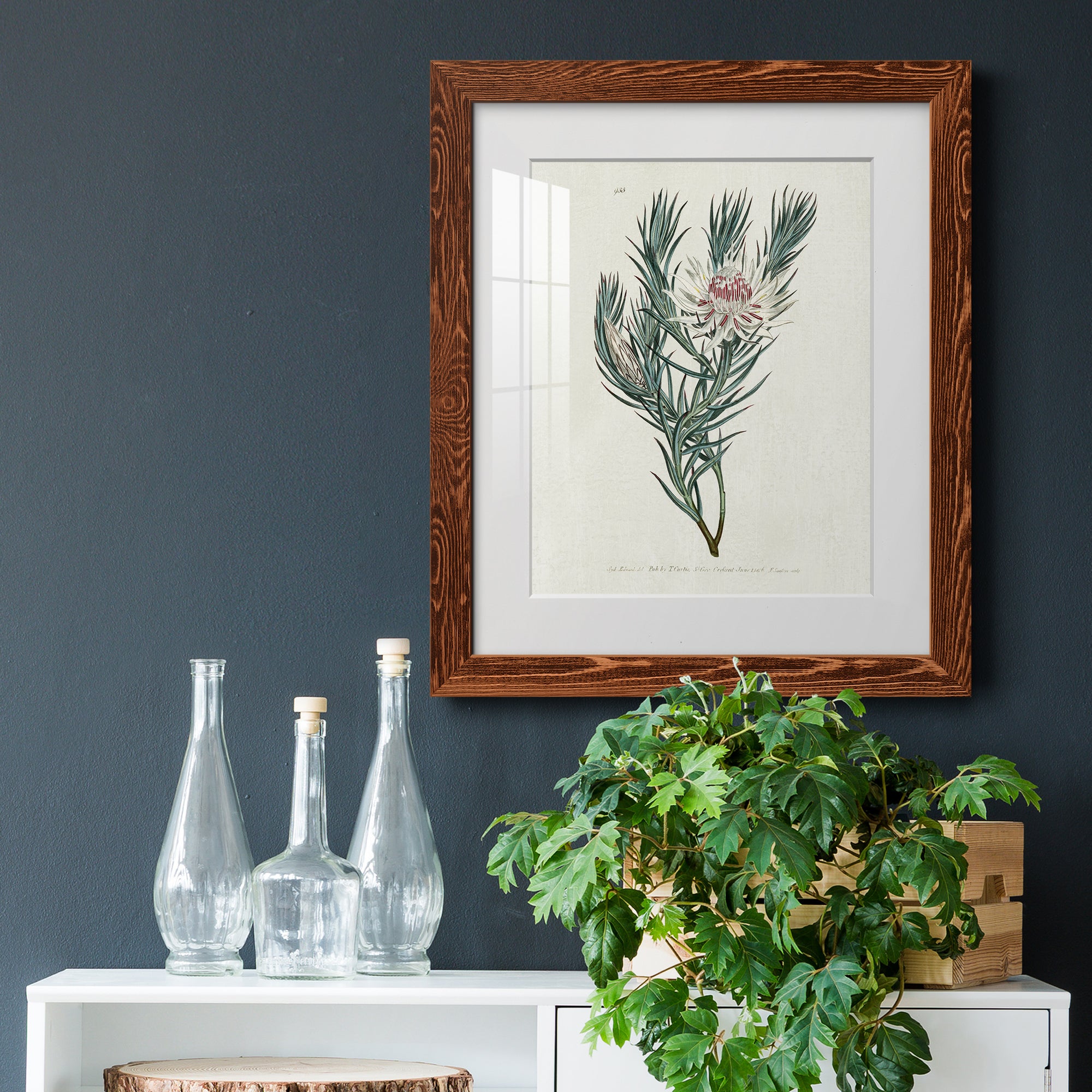 Protea N33 - Barnwood Framed Art Print